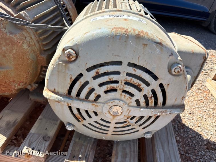 image for item EU0446 (2) Pacemaker electric motors