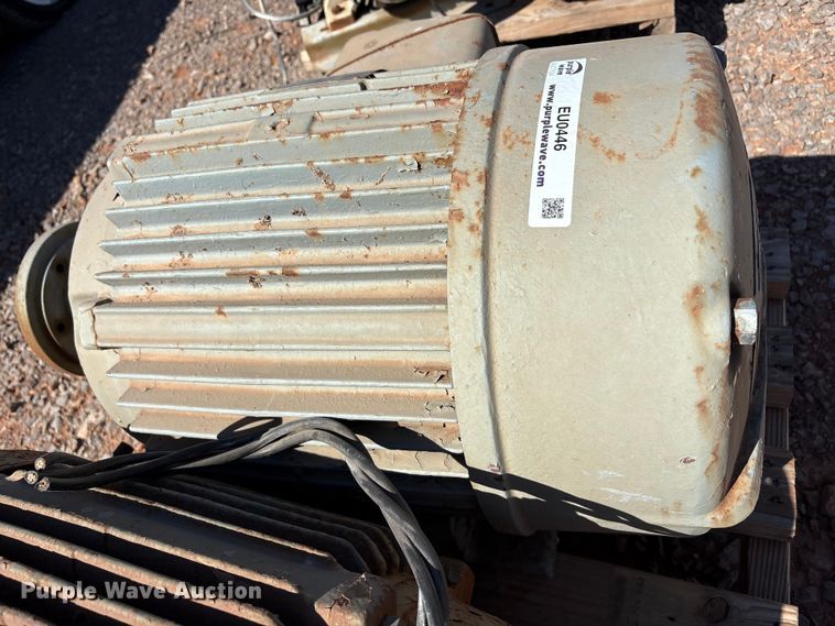 image for item EU0446 (2) Pacemaker electric motors