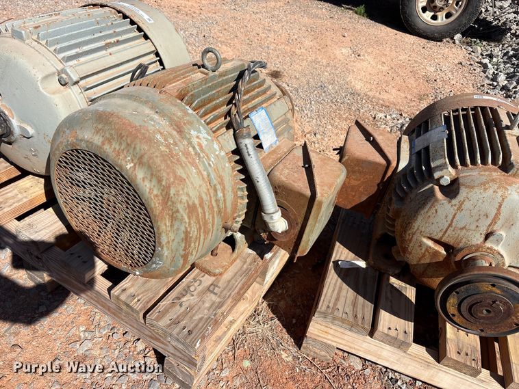 image for item EU0446 (2) Pacemaker electric motors