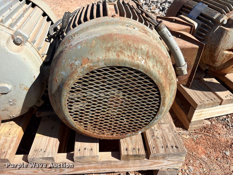 image for item EU0446 (2) Pacemaker electric motors