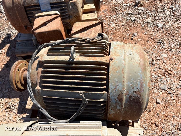 image for item EU0446 (2) Pacemaker electric motors