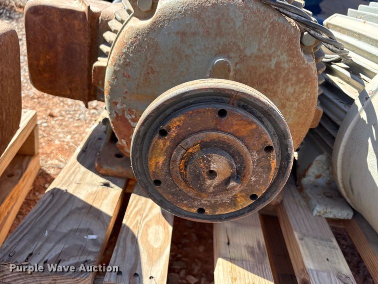 image for item EU0446 (2) Pacemaker electric motors