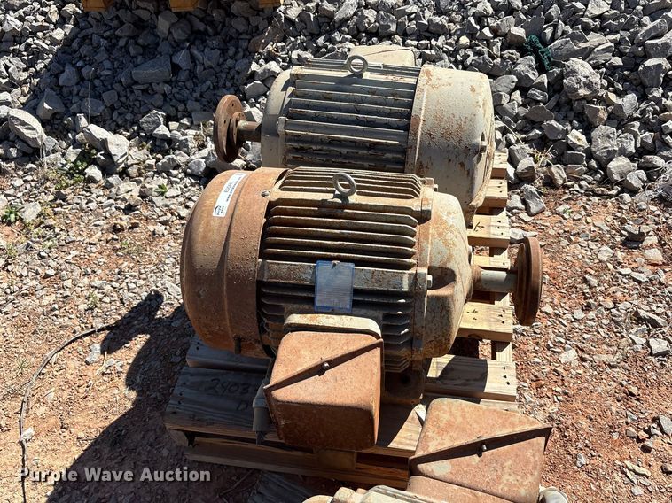 image for item EU0447 (2) Pacemaker electric motors