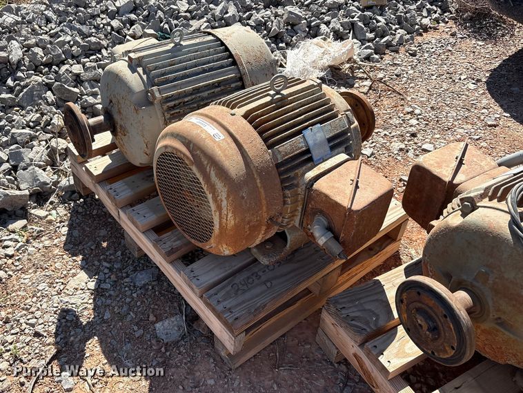 image for item EU0447 (2) Pacemaker electric motors