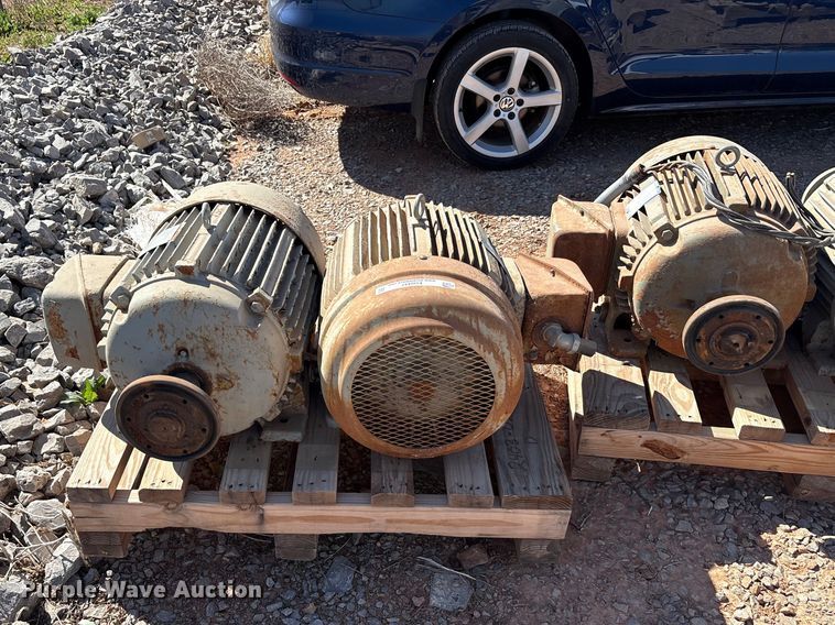 image for item EU0447 (2) Pacemaker electric motors