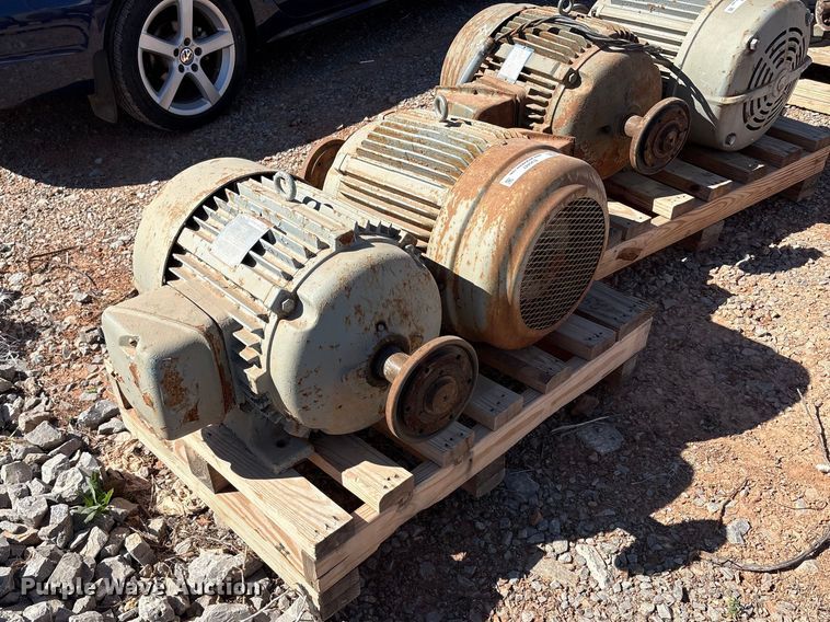 image for item EU0447 (2) Pacemaker electric motors