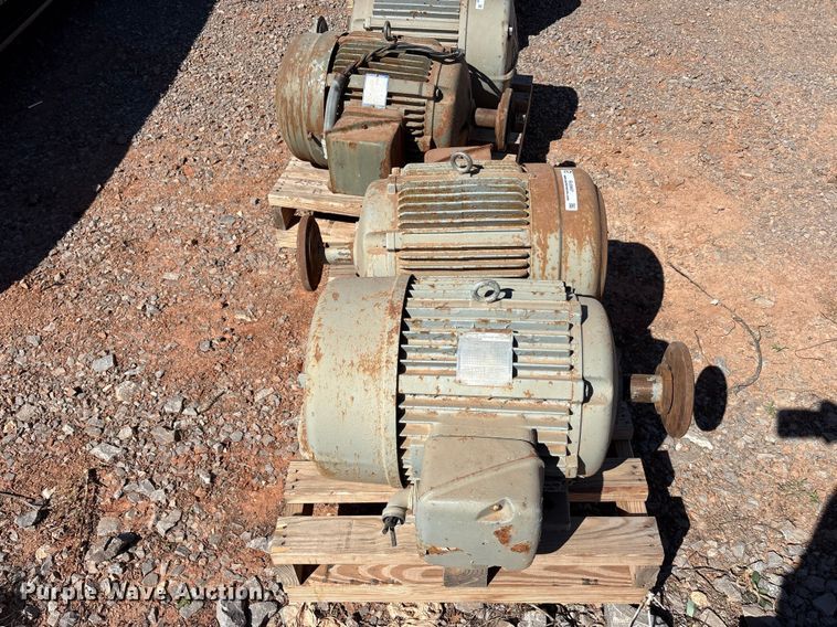 image for item EU0447 (2) Pacemaker electric motors