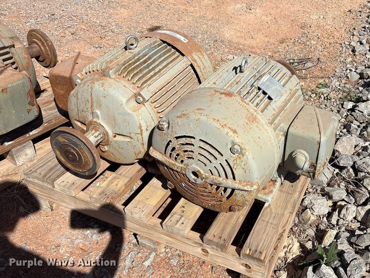 image for item EU0447 (2) Pacemaker electric motors