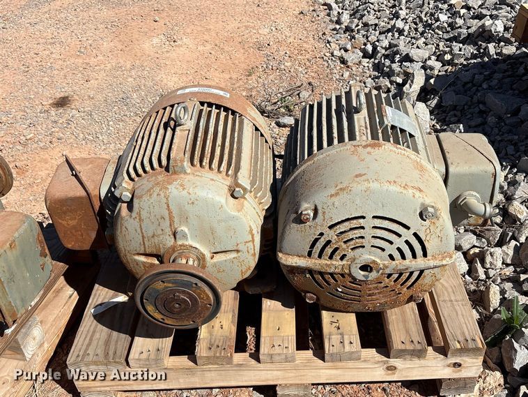 image for item EU0447 (2) Pacemaker electric motors