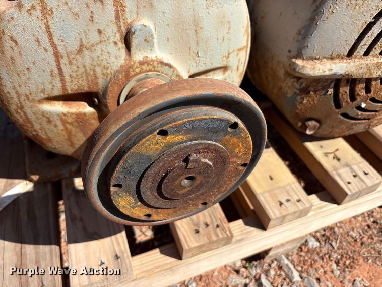 image for item EU0447 (2) Pacemaker electric motors