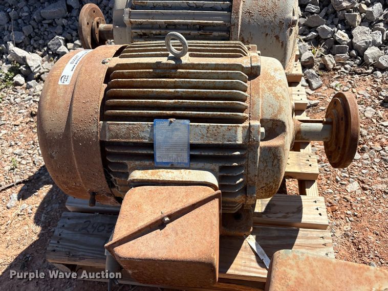 image for item EU0447 (2) Pacemaker electric motors