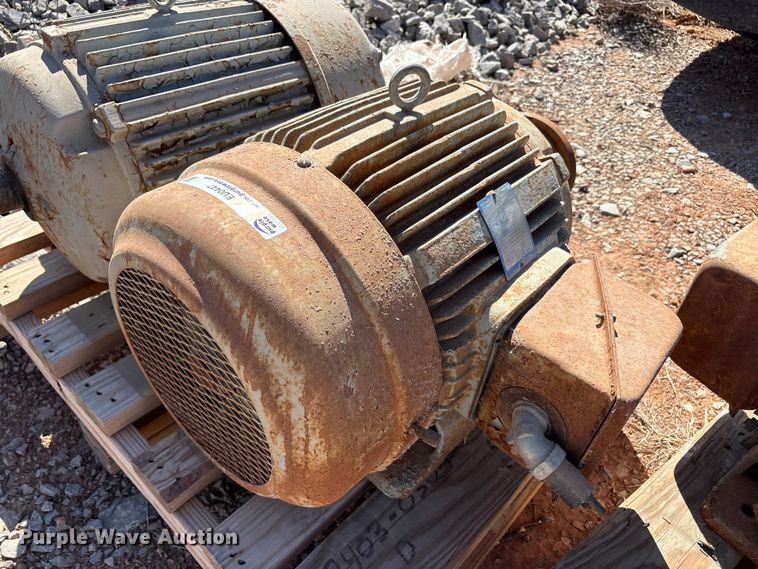 image for item EU0447 (2) Pacemaker electric motors