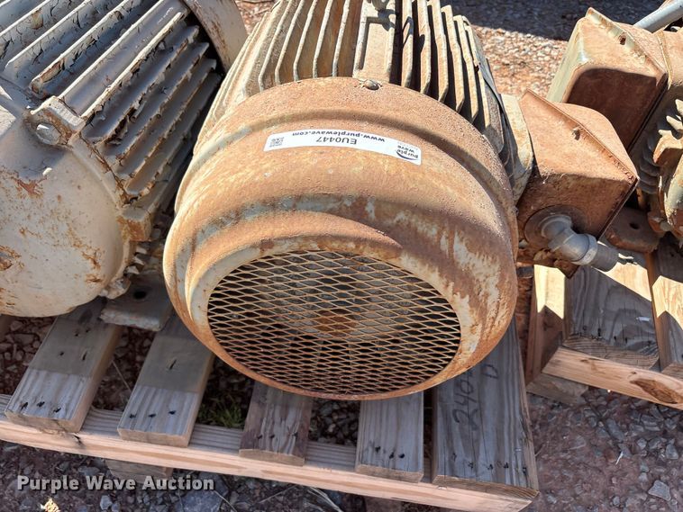 image for item EU0447 (2) Pacemaker electric motors