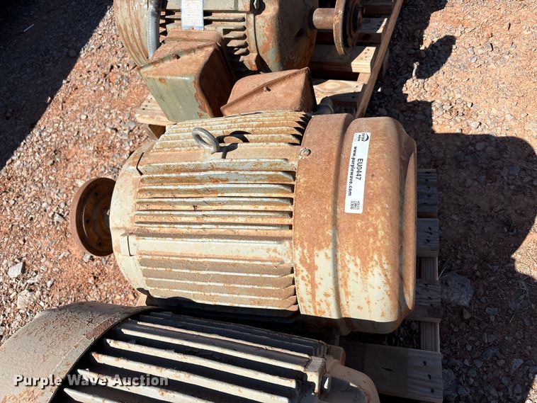 image for item EU0447 (2) Pacemaker electric motors