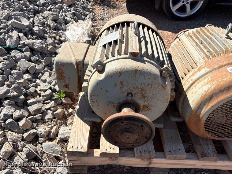 image for item EU0447 (2) Pacemaker electric motors