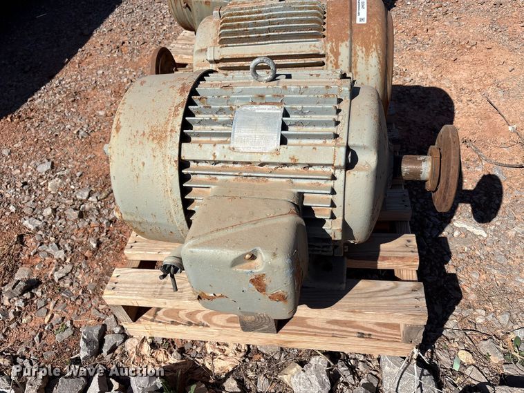 image for item EU0447 (2) Pacemaker electric motors