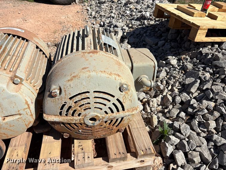 image for item EU0447 (2) Pacemaker electric motors