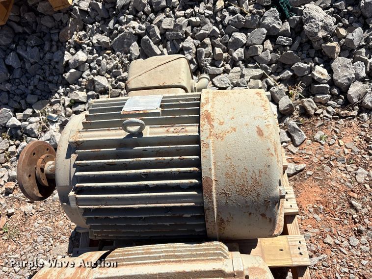 image for item EU0447 (2) Pacemaker electric motors