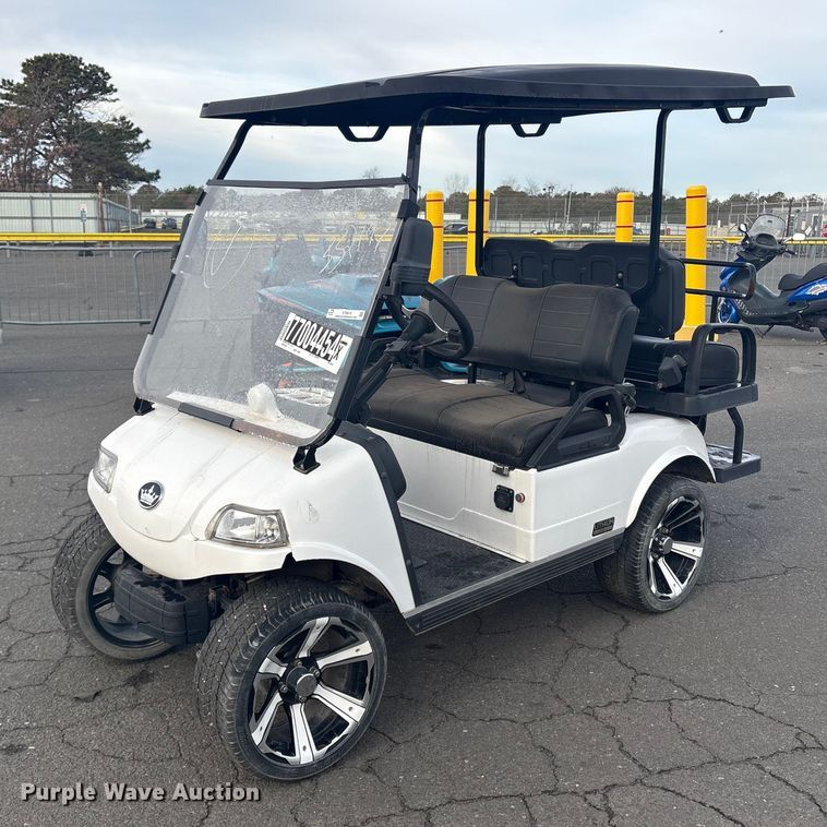 image for item YA1649 Evolution Lithium LifePO4 golf cart