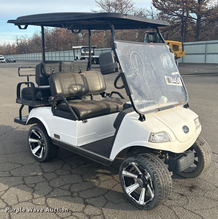 image for item YA1649 Evolution Lithium LifePO4 golf cart