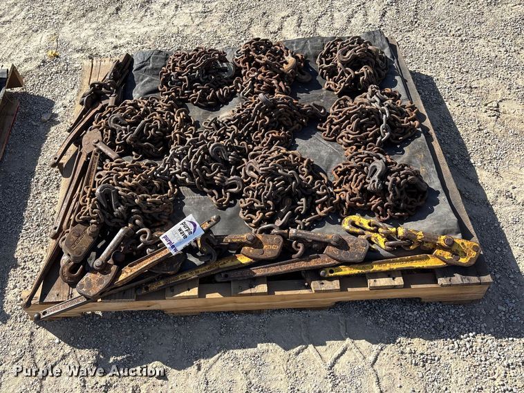 image for item EA4666 (10) chains and chain binders