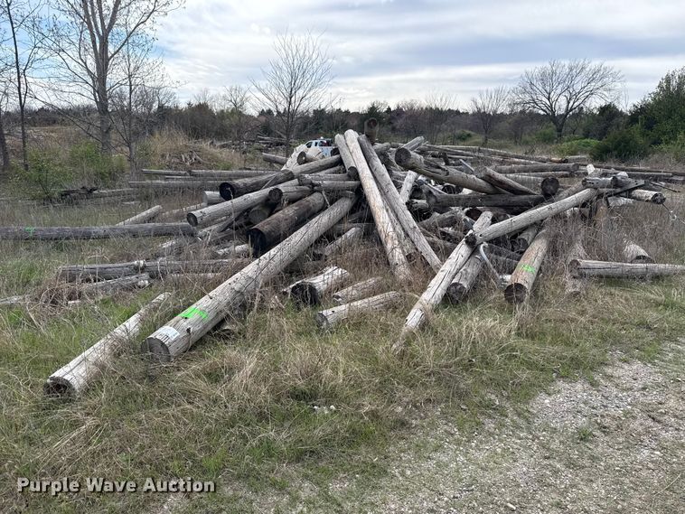 image for item DR1054 Approximately 125 electric poles