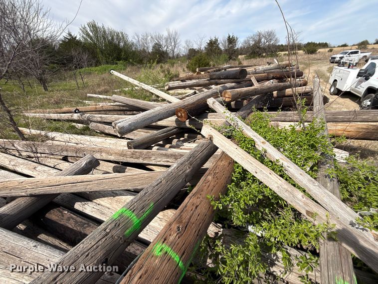 image for item DR1055 Approximately 75 electric poles