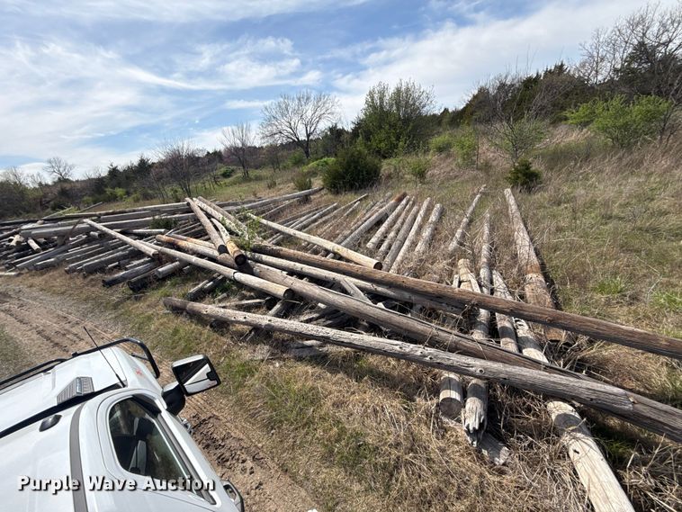 image for item DR1057 Approximately 75 electric poles