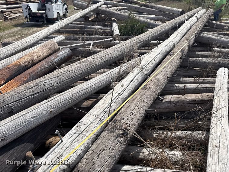 image for item DR1057 Approximately 75 electric poles