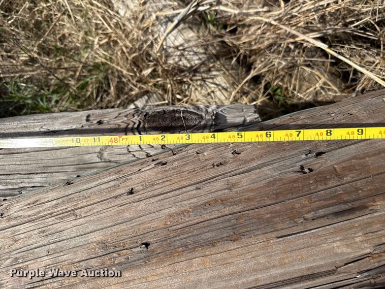 image for item DR1057 Approximately 75 electric poles