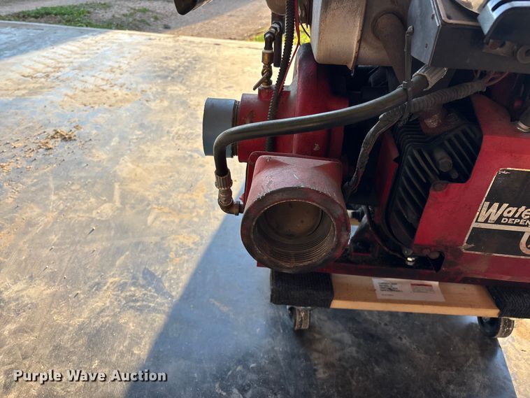 image for item EO4094 (2) water pumps