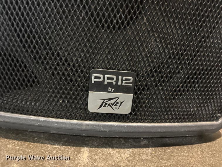 image for item FB8727 Peavy PR12 speaker