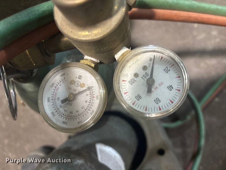 image for item FB8737 Torch bottles