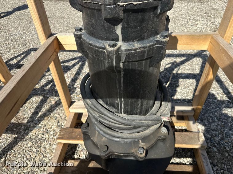 image for item FK1843 (2) pumps