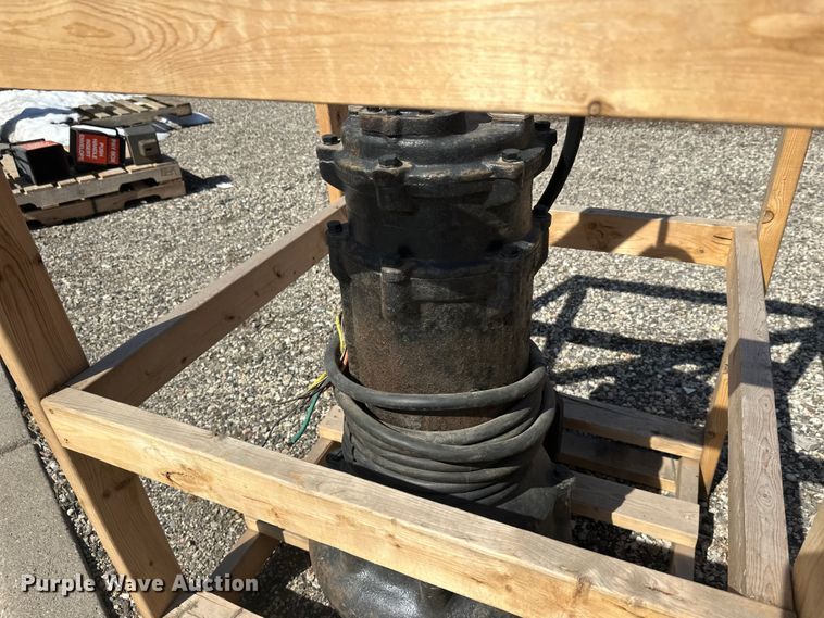 image for item FK1843 (2) pumps