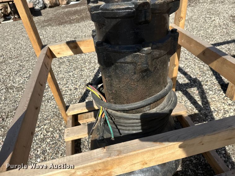 image for item FK1843 (2) pumps