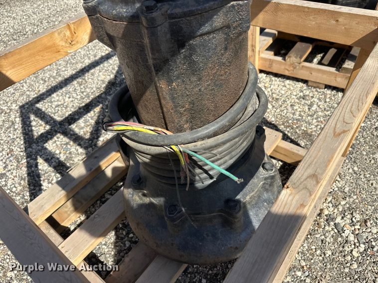 image for item FK1843 (2) pumps