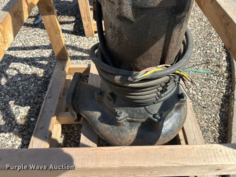 image for item FK1843 (2) pumps