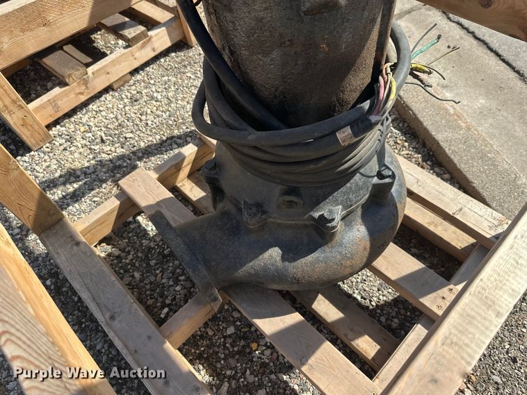 image for item FK1843 (2) pumps