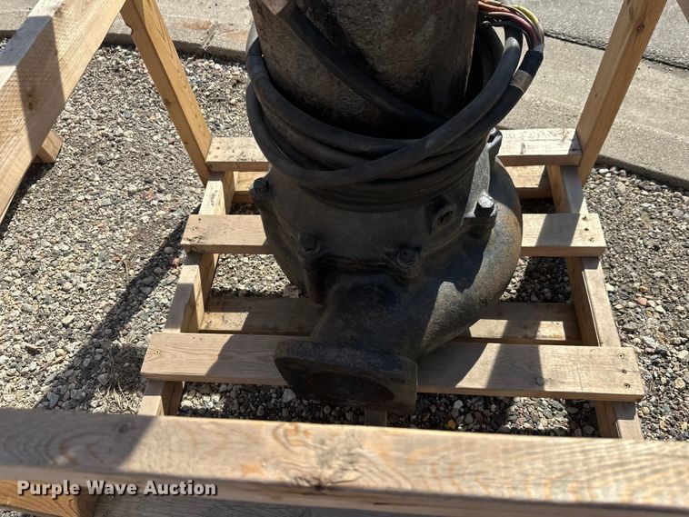 image for item FK1843 (2) pumps