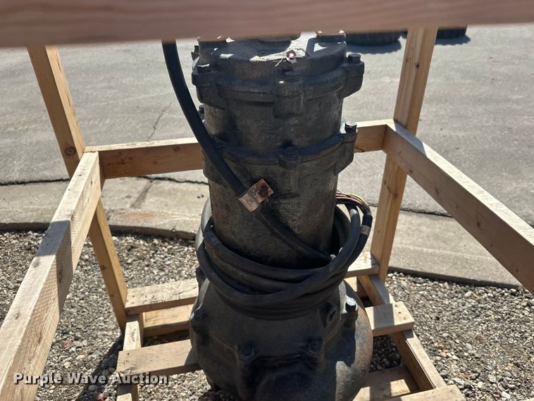 image for item FK1843 (2) pumps