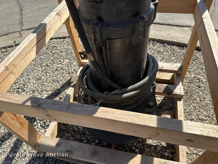 image for item FK1843 (2) pumps