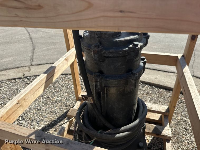 image for item FK1843 (2) pumps