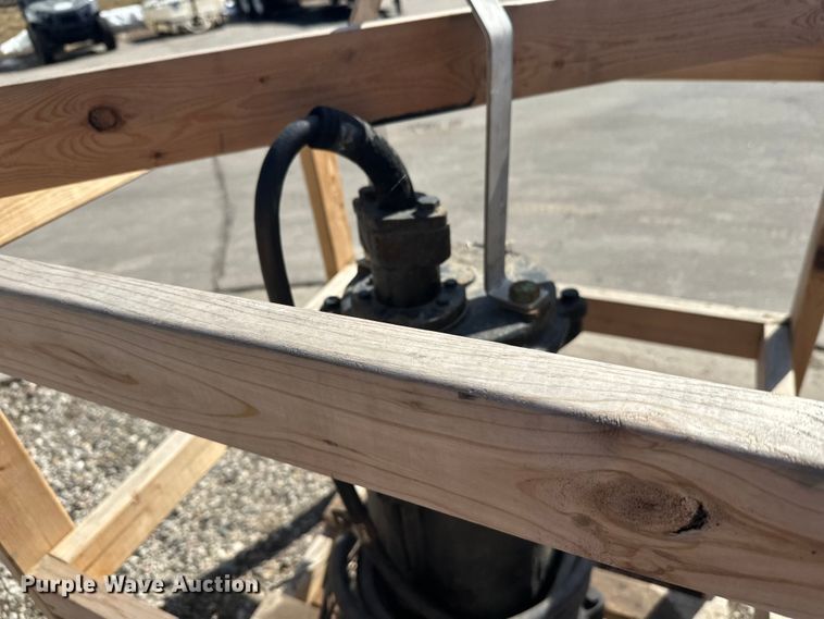 image for item FK1843 (2) pumps