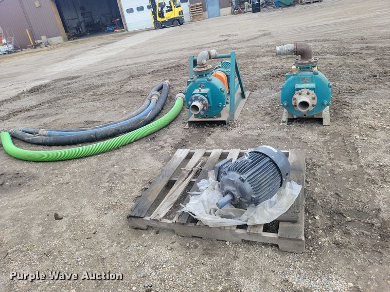 image for item DZ7017 Crown (2) Baldor pumps 