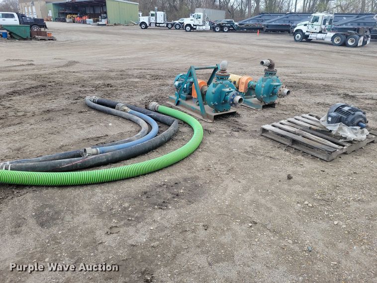 image for item DZ7017 Crown (2) Baldor pumps 