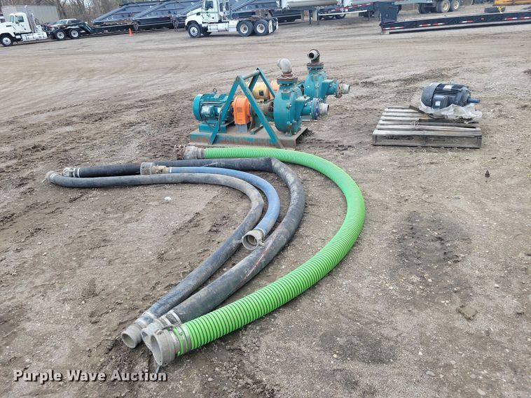 image for item DZ7017 Crown (2) Baldor pumps 