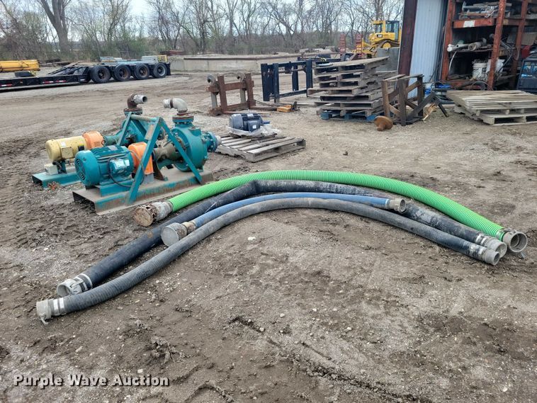 image for item DZ7017 Crown (2) Baldor pumps 