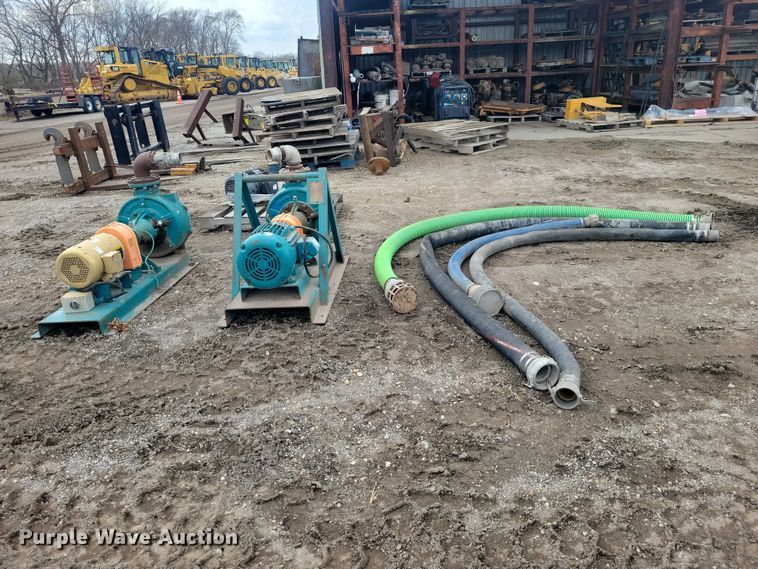 image for item DZ7017 Crown (2) Baldor pumps 