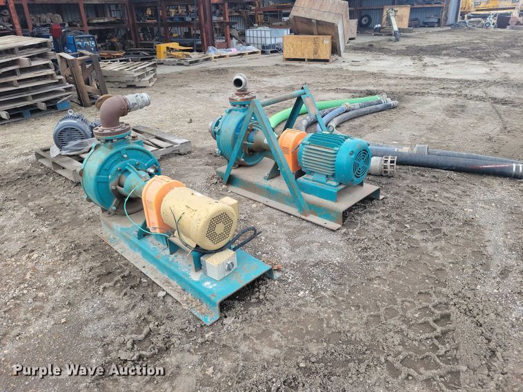 image for item DZ7017 Crown (2) Baldor pumps 